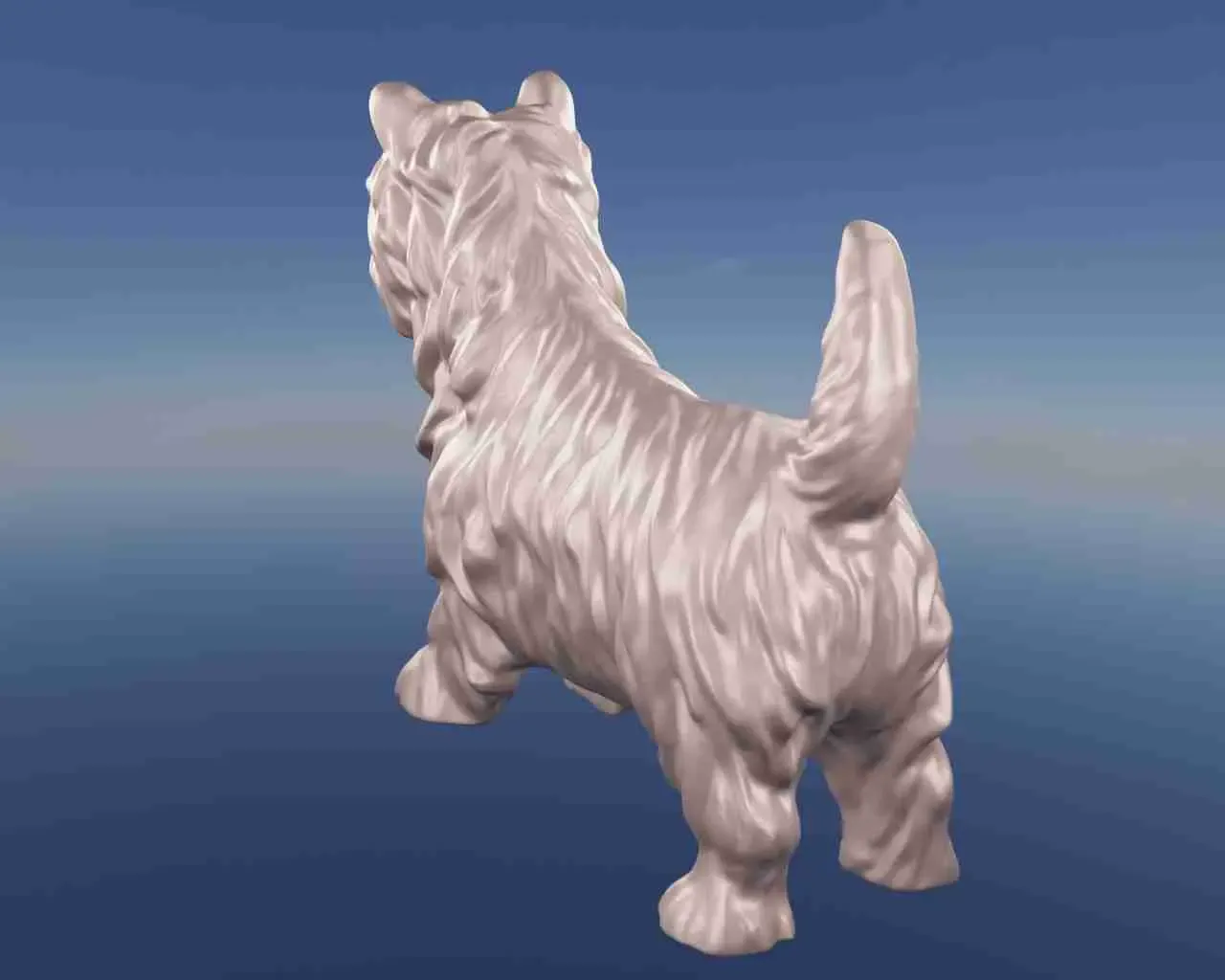 Dog Yorkshire terrier