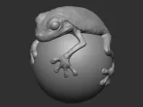 FDM & Resin Printer Test -frog-0