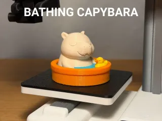 Bathing Capybara