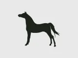 cheval-3