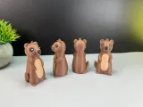 Simpatica lontra-1