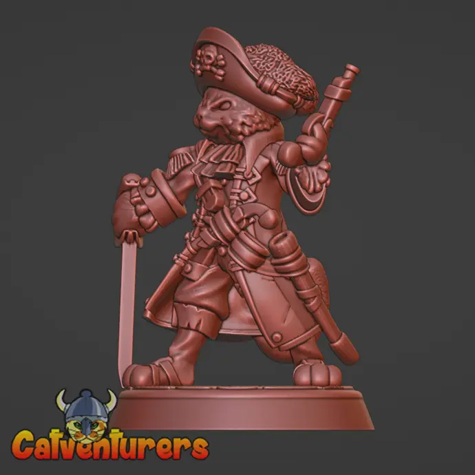Pirate Captain Cat
