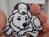 Amore sotto forma di un adorabile cane - Fred - In amorevole ricordo-1