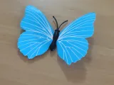 Butterfly magnet-4