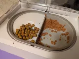 Surefeed Microchip Pet Feeder Split Bowl Riser-3