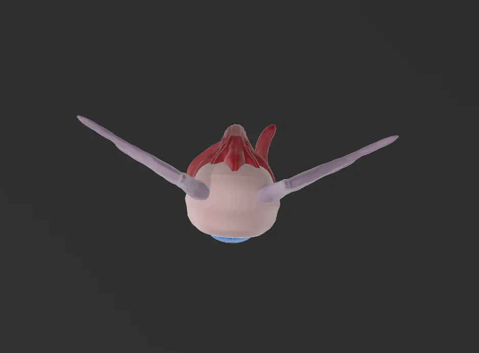 flying eye