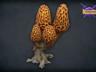RPM Patreon "Morel mushroom tree"