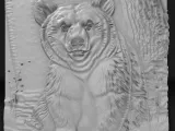 bear-0