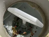 Pool Skimmer Basket Handle-1