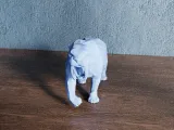 Low Poly Sabretooth tiger-5