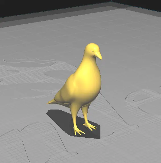 Pidgeon