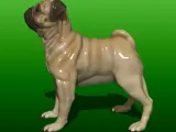JEUNESSE PUG-4