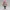 Hikari Mizuno – The Blushing Schoolgirl