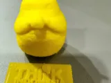 Totoro-0