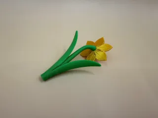Daffodil Flower