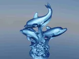 Dolphin seaweed-2