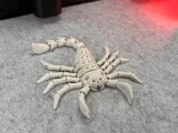 Scorpione Scheletro Flessibile-5