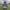 EmojiFolk - Football Player