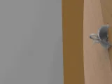 teacup wall hanger-6