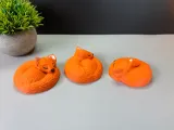 Sleeping Fox-2