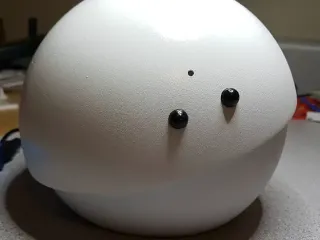 Pia the robot