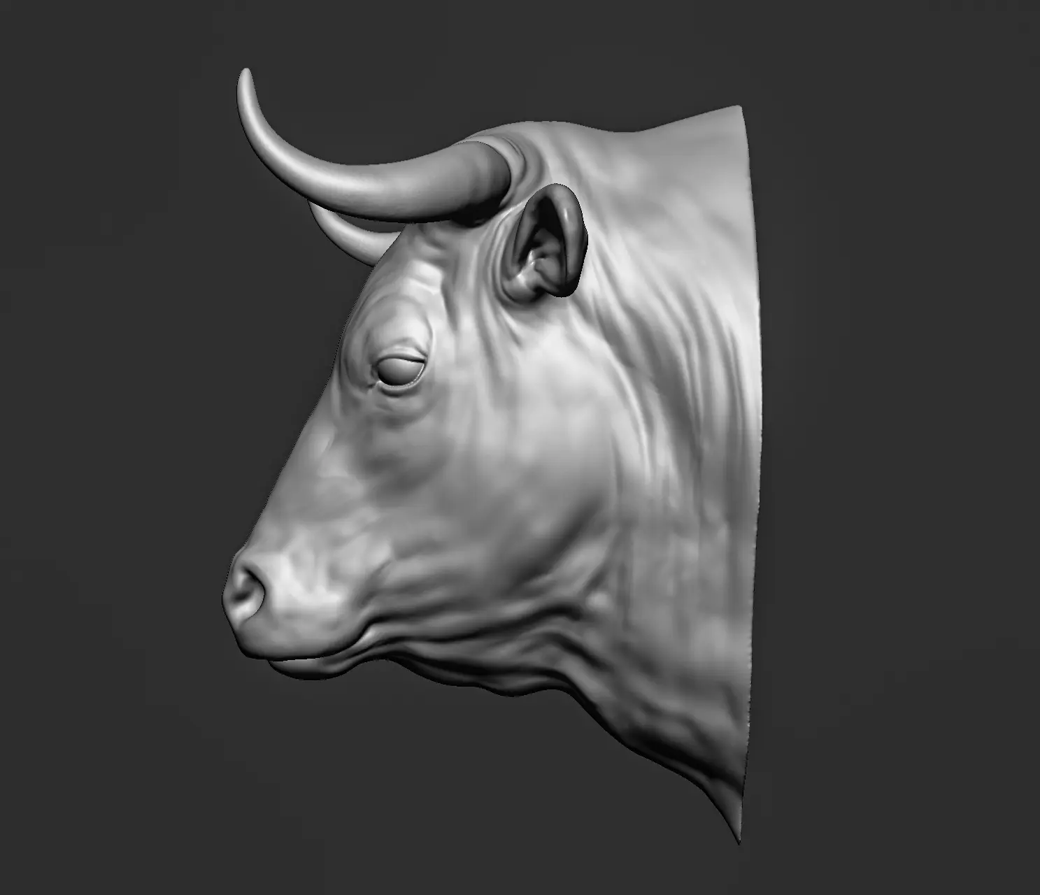 Bull head