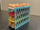 Egg Holder Rack-1