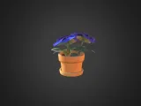 Winter Flowers-3