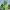 Creeper Minecraft