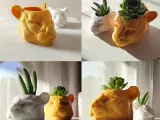 PUMA POT-5