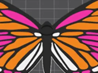 Monarch Butteryfly