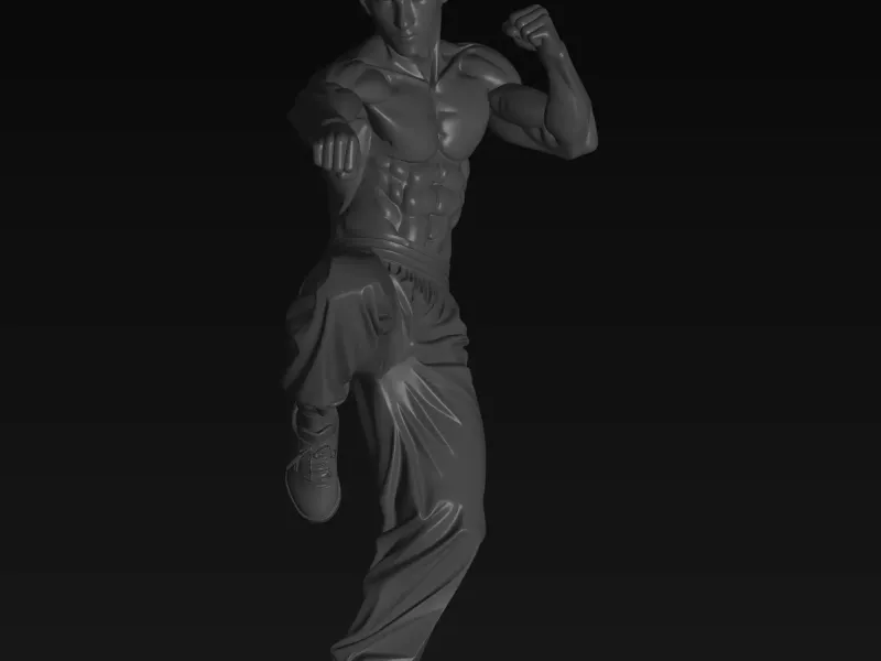 bruce lee model