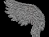 Wing pendant 2-3