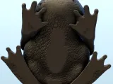 Giant frog (+ pre-supported version) (8) - miniatures warham-5