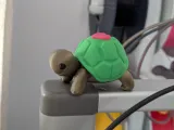 Cute Turtle Multipart Toy-5