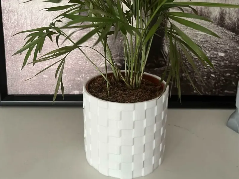 Plant pot Cylinder