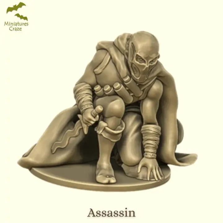 Mercenary Assassin
