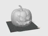 Pumpkin-3