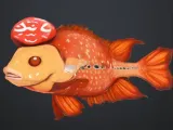 Flower horn fish-0