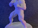 Ultimate Anime Fighter – Dynamic Martial Arts Statue-6