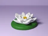 Water Lily-3