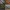 Prop Coltello da Trincea Oversize/Coltello da Trincea Cosplay Oversize