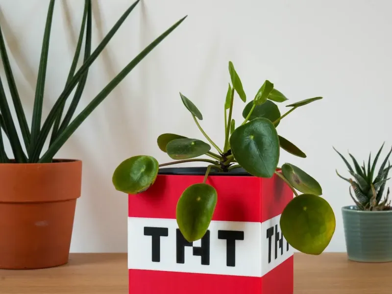 TNT Block Vase – Minecraft Edition