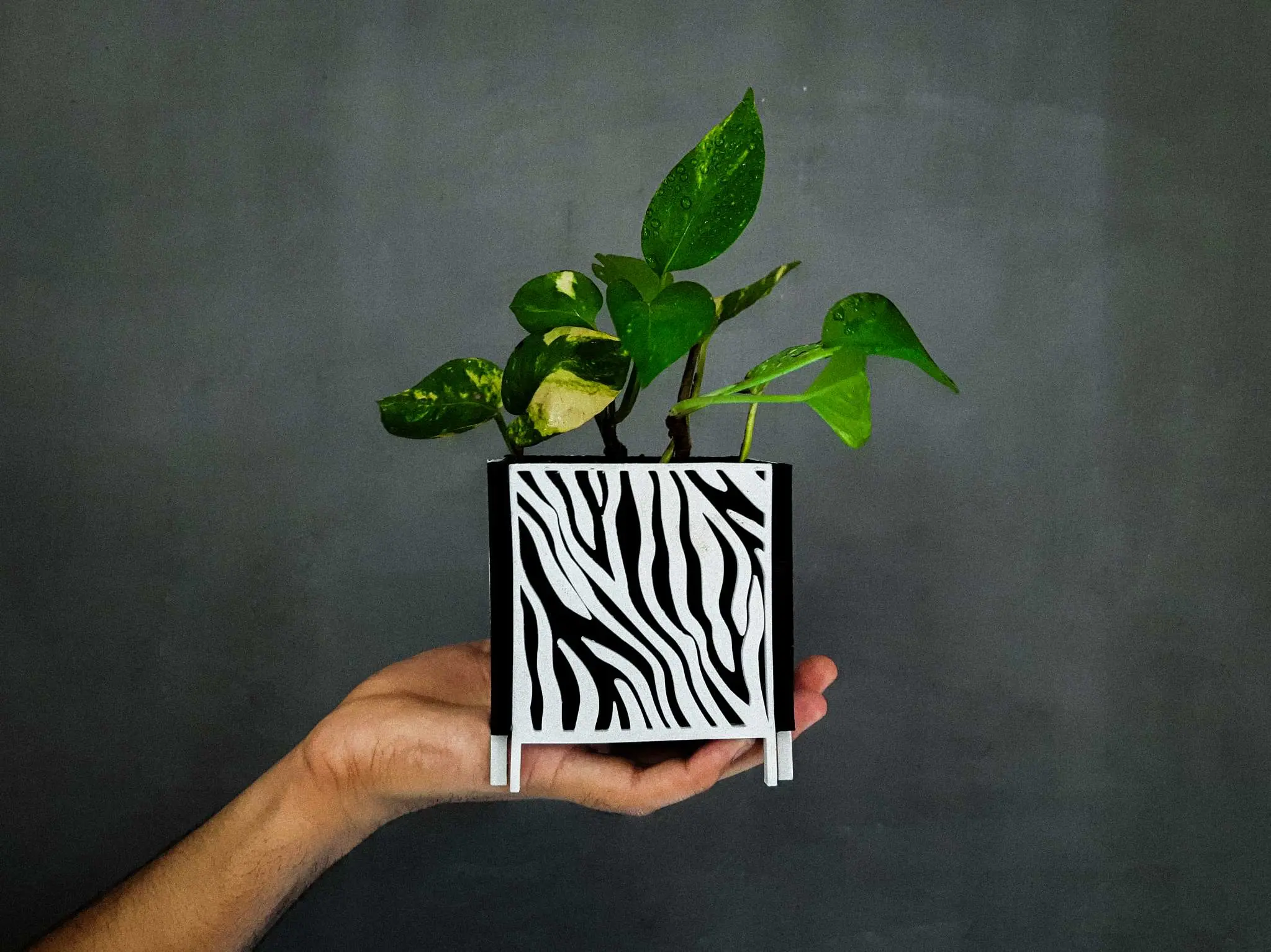 Plantador com padrão | Vaso 