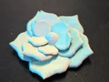 Flower Model-1