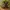 Ancient Tree Planter - Forest Spirit Flower Pot
