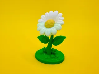 Daisy