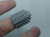 Finger Cactus-0