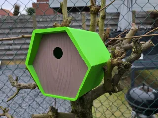 birdhouse hexagon