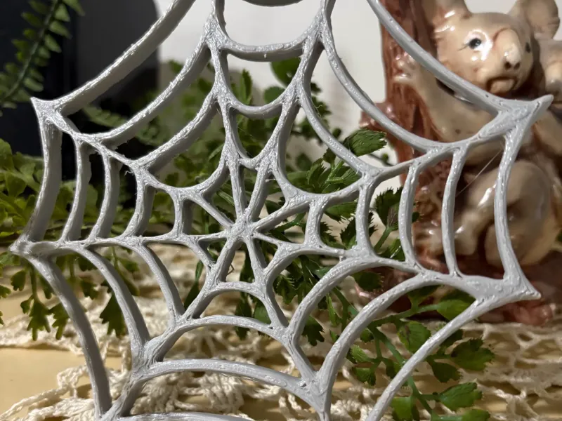 Home for Pet Spiders